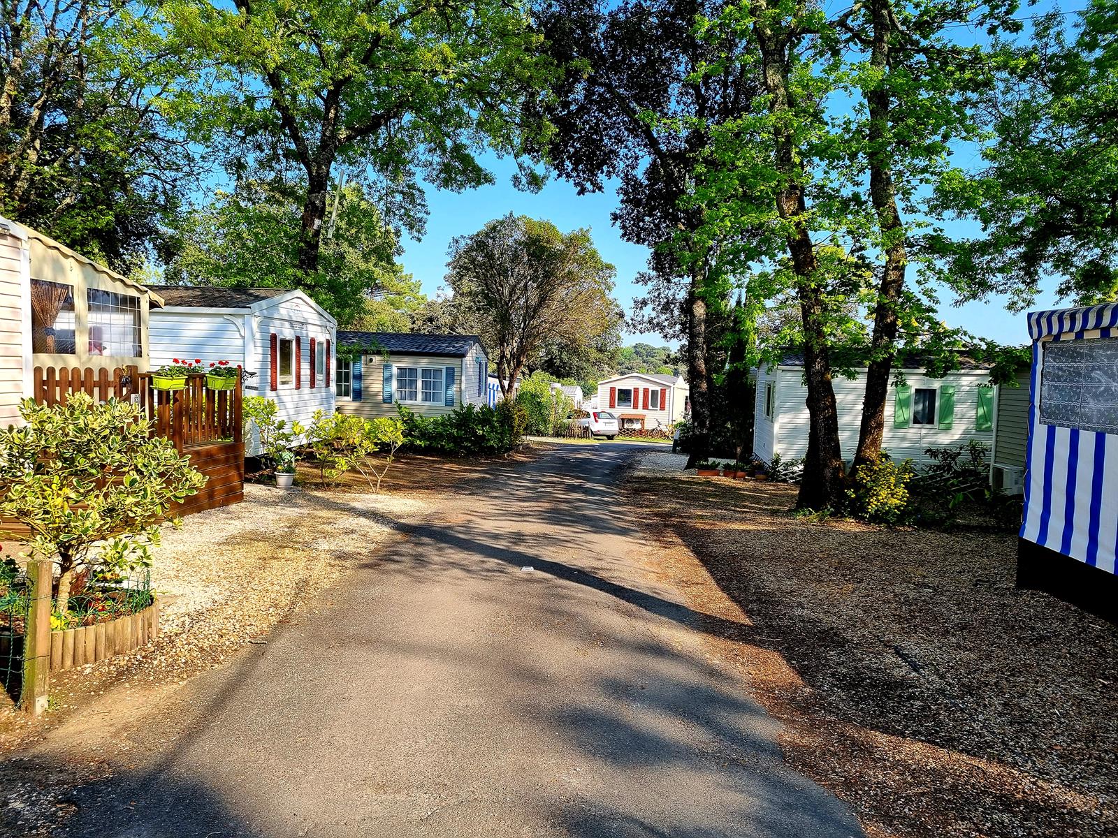 Flower Camping Les Loges in Meschers-sur-Gironde