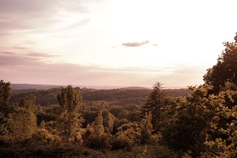 vue 768x512